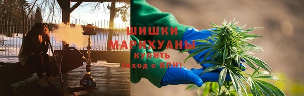 ECSTASY Елизово