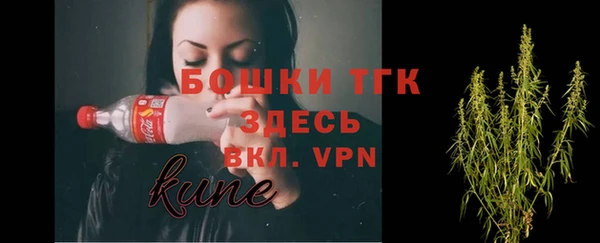 ECSTASY Елизово
