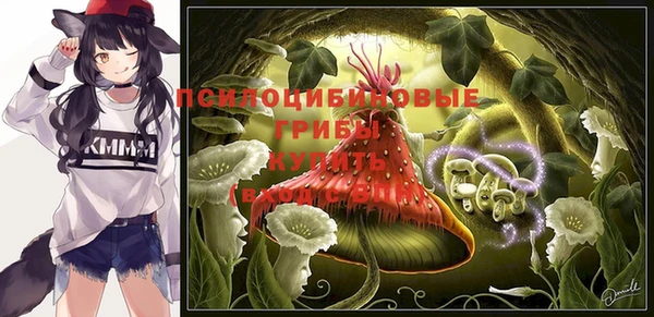 эйфоретик Елабуга