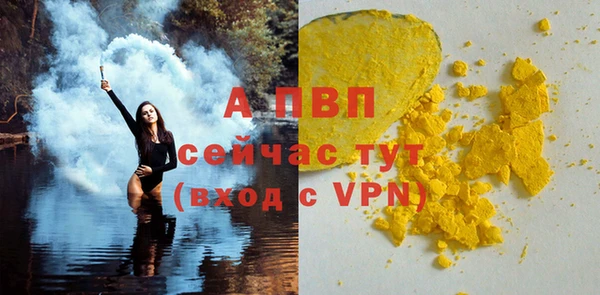 ECSTASY Елизово