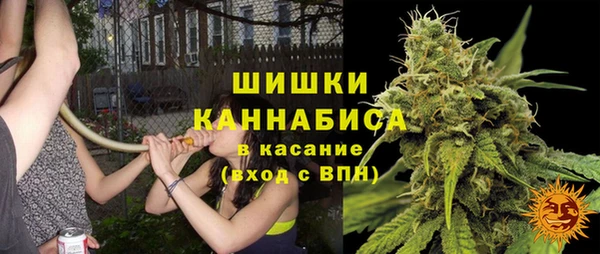 эйфоретик Елабуга