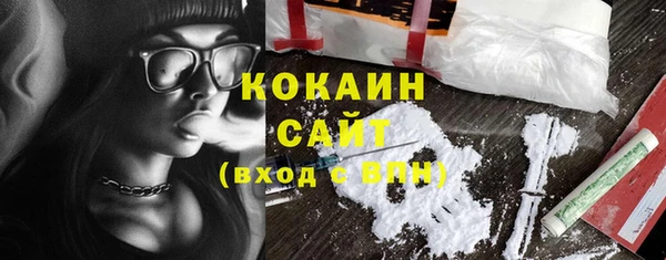 ECSTASY Елизово