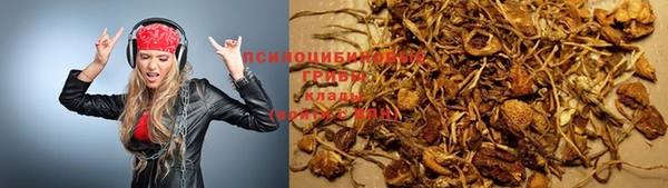 ECSTASY Елизово
