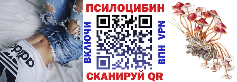 Галлюциногенные грибы Magic Shrooms  Купить  Егорьевск 
